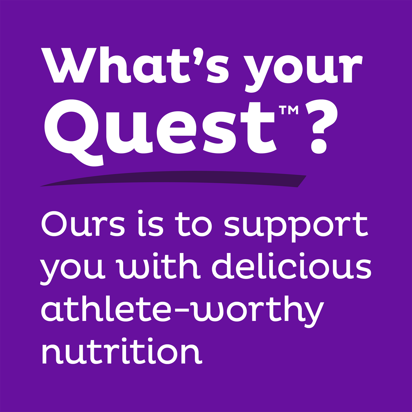 double-chocolate-chunk-protein-bars-r6 qst-000241_double-chocolate-chunk-protein-bars_9.png